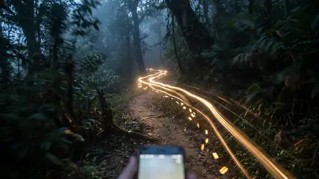 Temple Run: Warum der Klassiker ein Comeback feiert