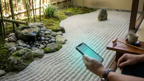 Finding Calm: Discover Antistress - Relaxation Toys